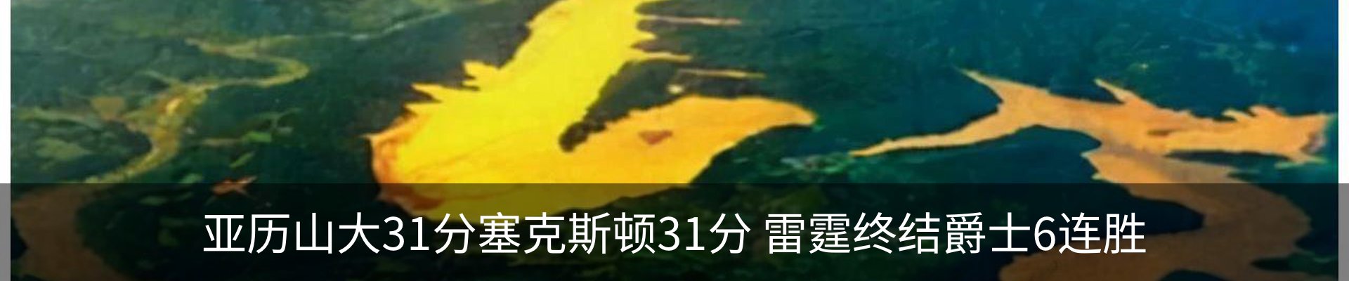行业资讯