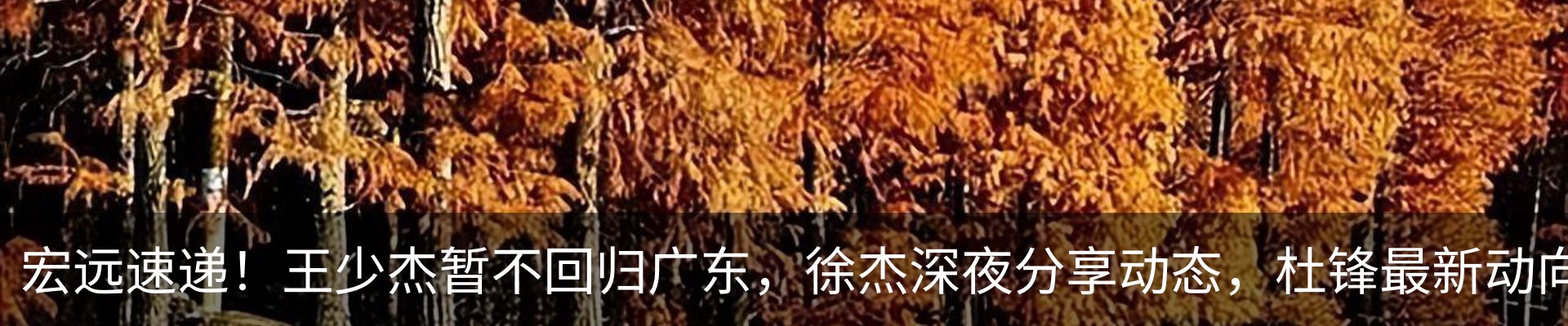 行业资讯